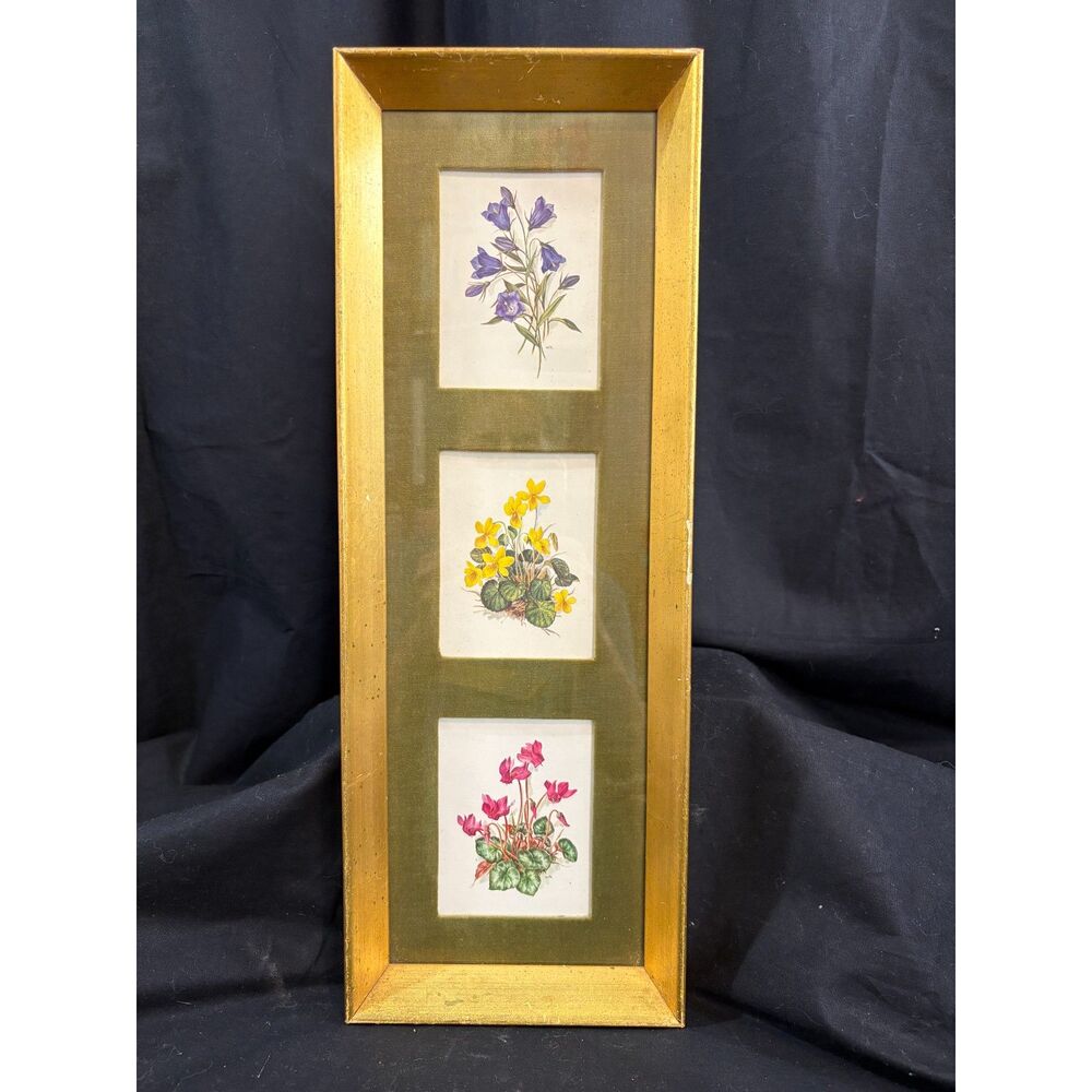 Vintage B&S Creations Botanical Floral Trio Gold Frame Green Mat Wall Art